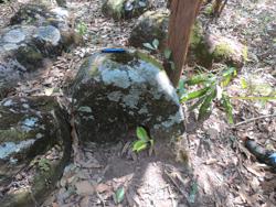 Jar 93010003 Thumbnail