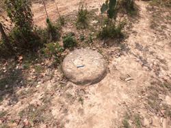Disc 95010001 Thumbnail